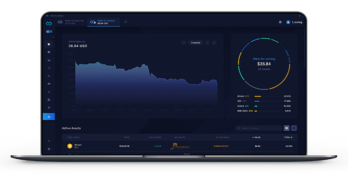Infinity Wallet - Dashboard Portfolio