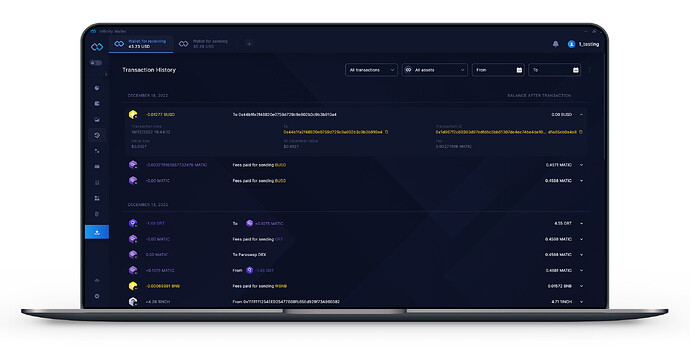 Infinity Wallet - advanced transaction history